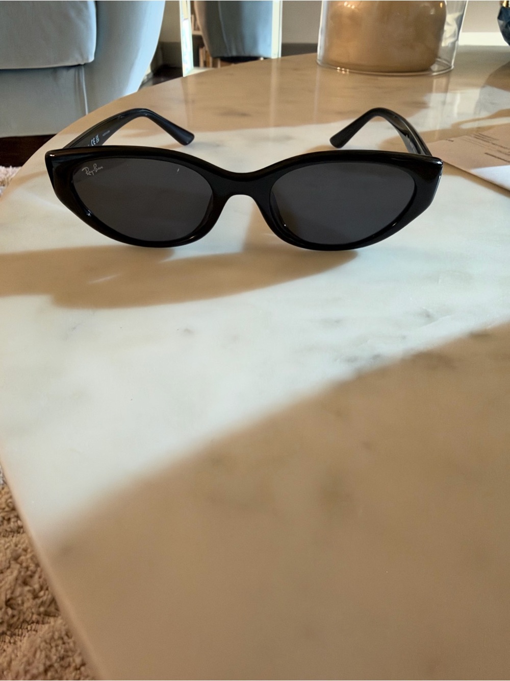 Ray-Ban Women's Black Oval Cat-Eye Sunglasses with Brown Case